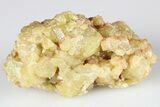 Yellow Topazolite Garnet Cluster - Mexico #188254-1